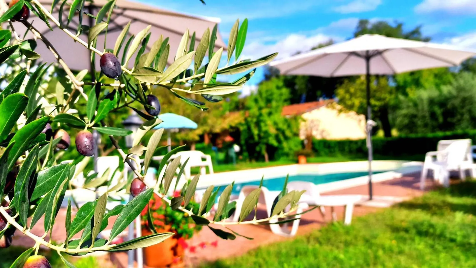 Agriturismo Il Sughereto - Appartamento Cattleya Podere Caminino 0*,  Italien