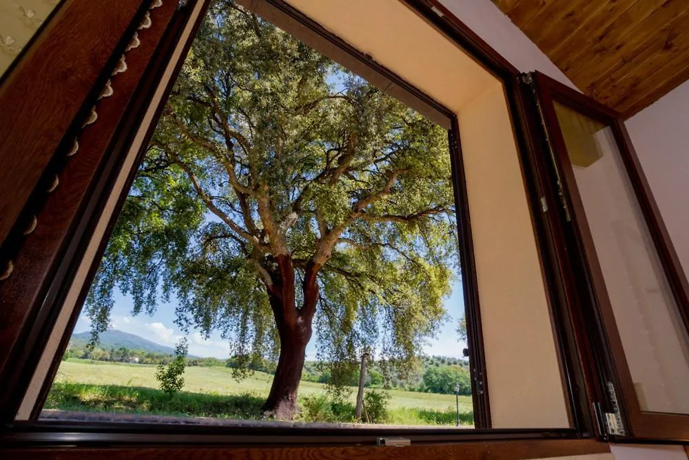 Lägenhet Agriturismo Il Sughereto - Appartamento Cattleya Podere Caminino