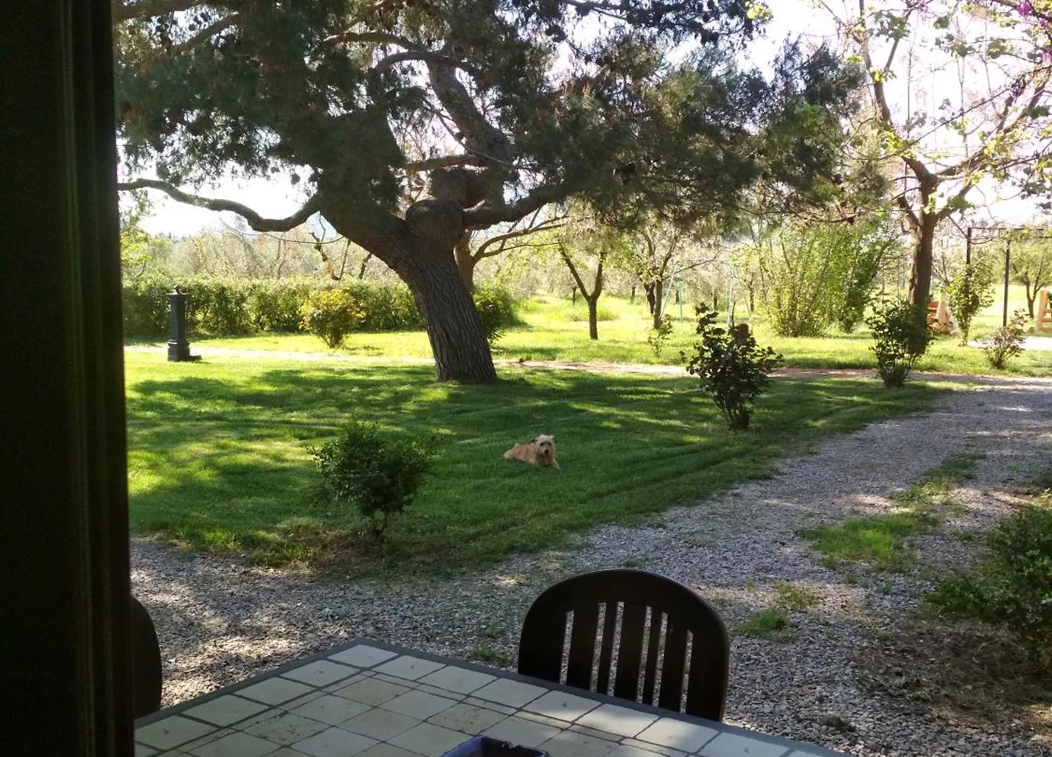 Lägenhet Agriturismo Il Sughereto - Appartamento Cattleya Podere Caminino
